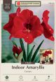 Amaryllis Ferrari