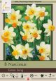 Narcissus Eaton Song 6PK