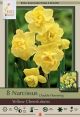 Narcissus Yellow Cheerfulness 8PK