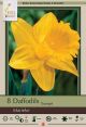 Narcissus Marieke 6PK