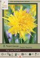 Narcissus Rip Van Winkle 8PK