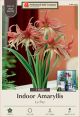 Amaryllis La Paz