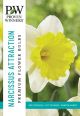 Narcissus Attraction 10PK