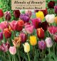 Tulips Breeders Blend 15PK