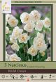 Narcissus Bridal Crown 8PK