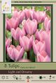 Tulip Light and Dreamy 10PK