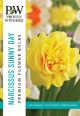 Narcissus Sunny Day 12PK