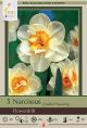 Narcissus Flowerdrift 8PK