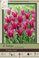 Tulip Purple Doll 10PK